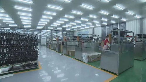 成武民營企業 揚帆出海，暢銷海內外市場
