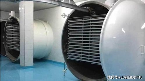 凍干粥生產(chǎn)設(shè)備及工藝流程解析與光伏設(shè)備元器件銷(xiāo)售市場(chǎng)概覽